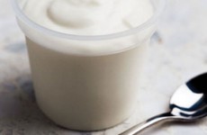 yogurt yogurt