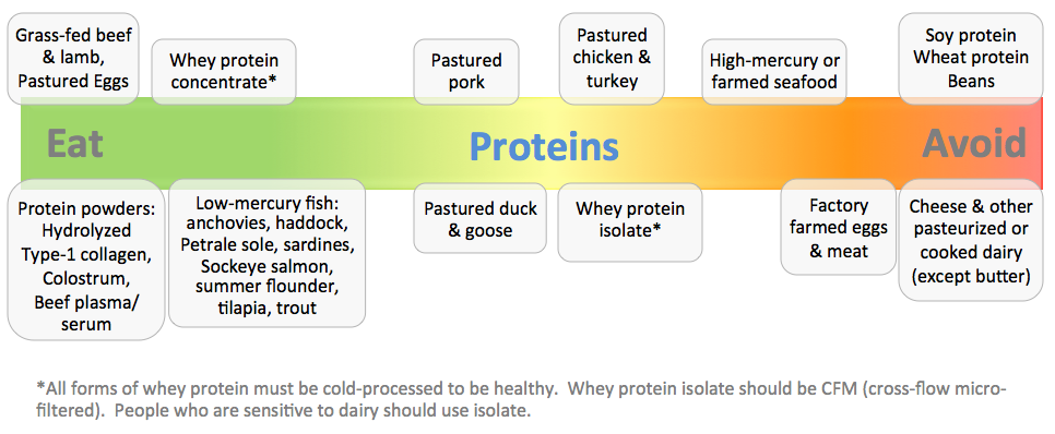 proteins.png